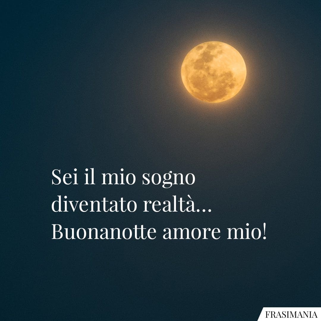Sei il mio sogno diventato realtà... Buonanotte amore mio!