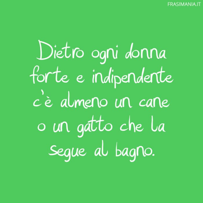 Dietro ogni donna forte e indipendente c'è almeno un cane o un gatto che la segue al bagno.