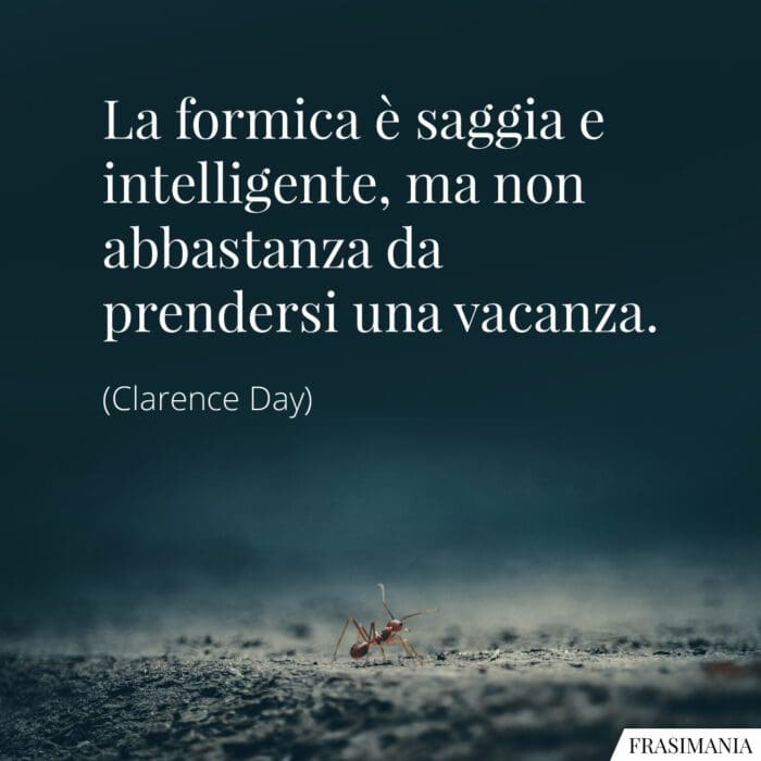 La formica è saggia e intelligente, ma non abbastanza da prendersi una vacanza.