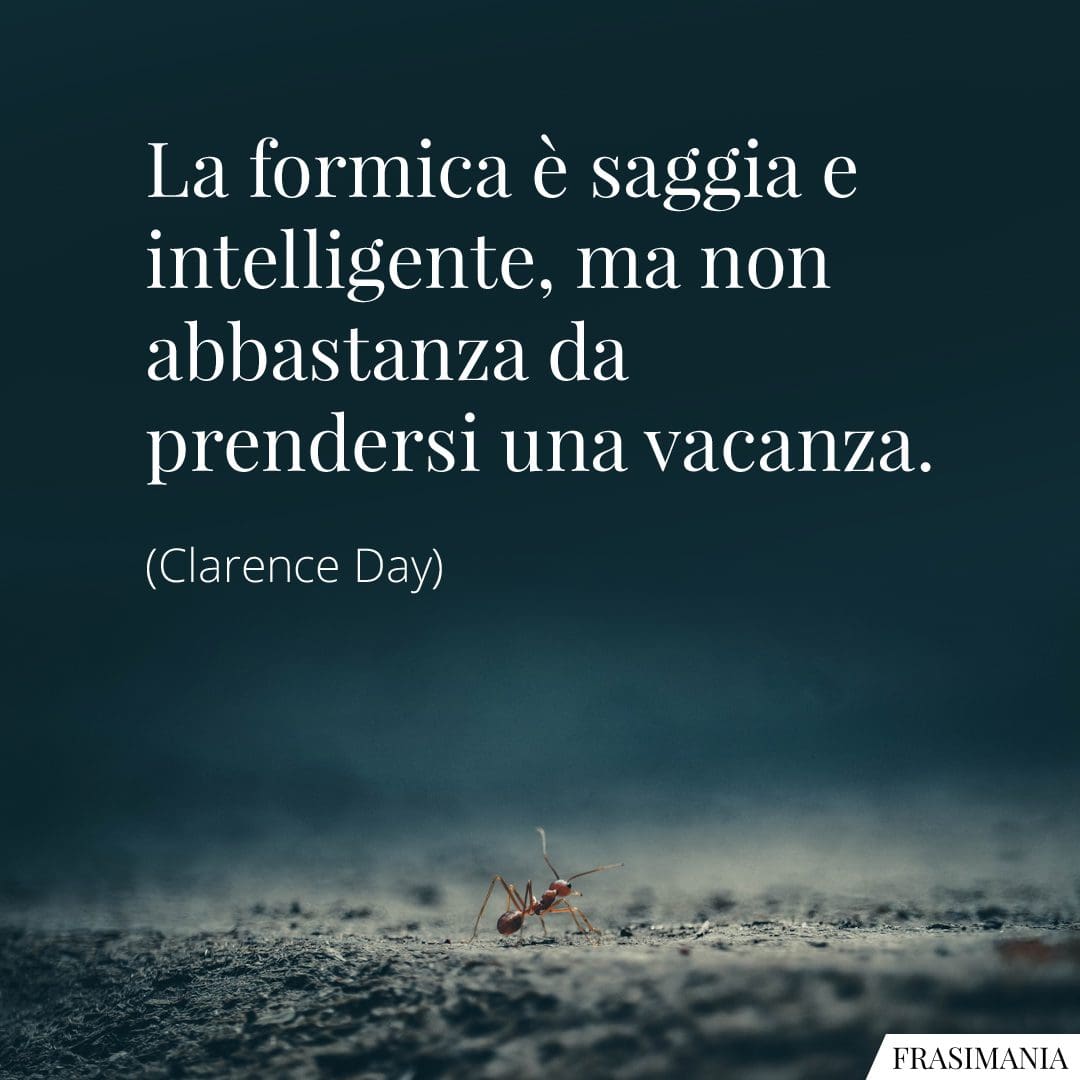 La formica è saggia e intelligente, ma non abbastanza da prendersi una vacanza.
