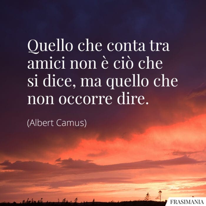 Frasi amici Camus