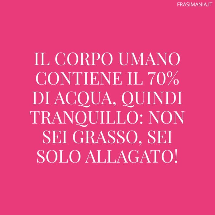 Il corpo umano contiene il 70% di acqua, quindi tranquillo: non sei grasso, sei solo allagato!