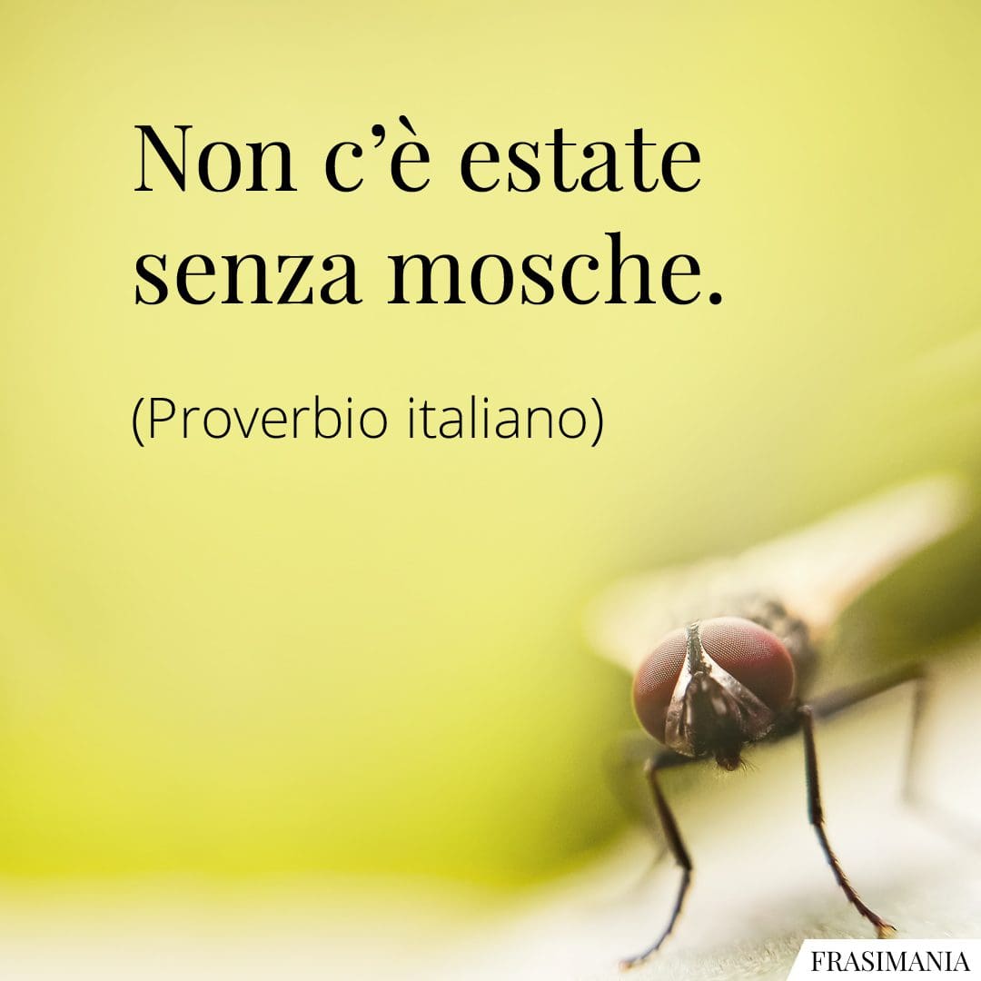 Non c'è estate senza mosche.