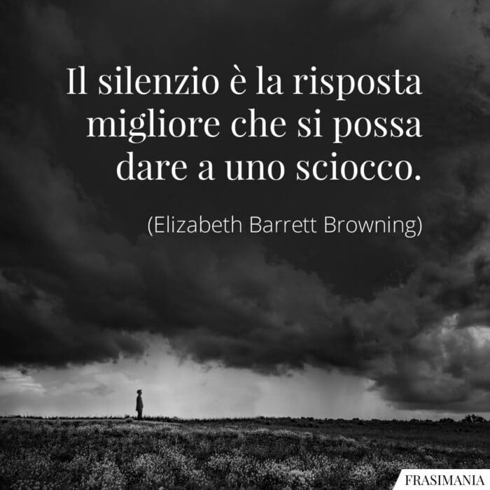 Il silenzio è la risposta migliore che si possa dare a uno sciocco.