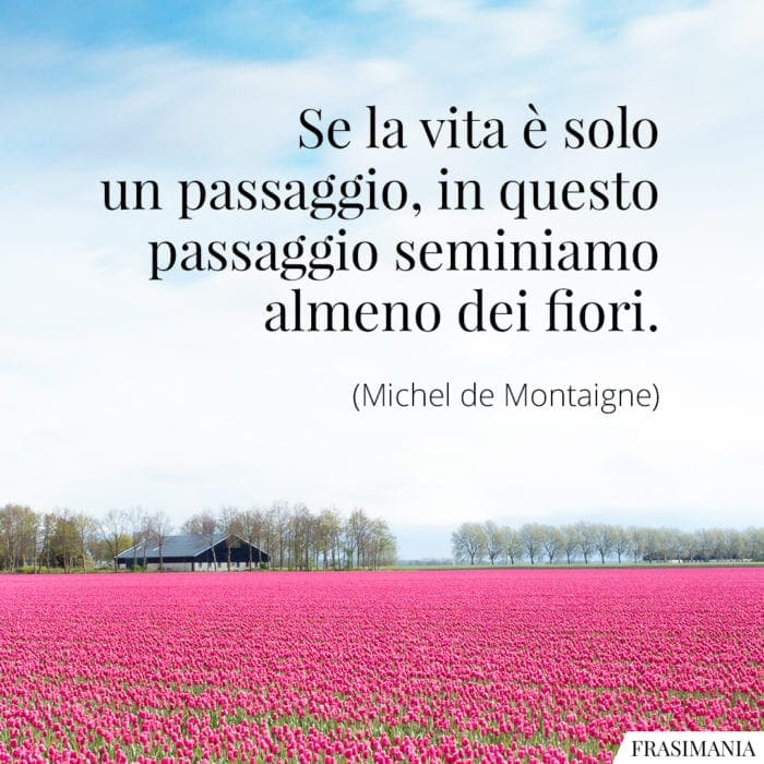 Frasi vita seminiamo fiori Montaigne