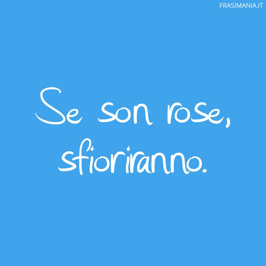 Proverbi divertenti rose