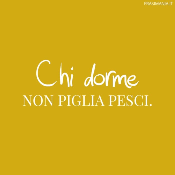 Proverbi Italiani Dorme