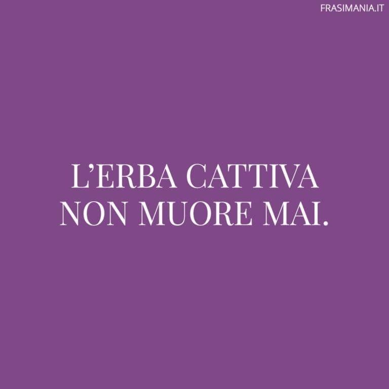 La Verità Non Muore Mai In Latino