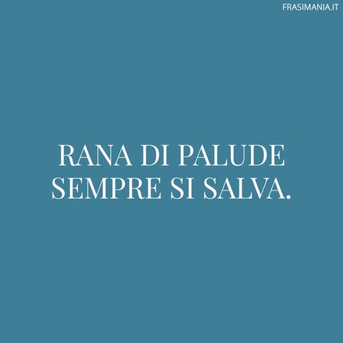 Rana di palude sempre si salva.