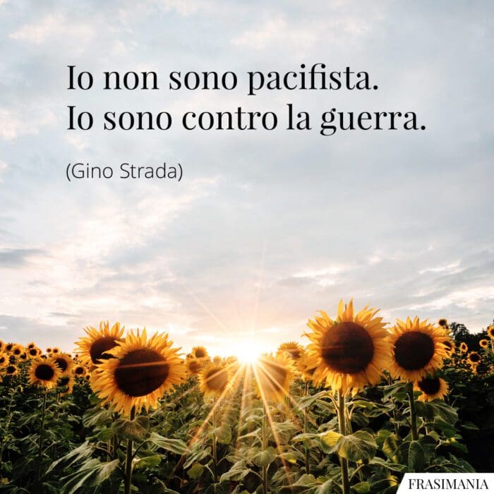 Frasi pacifista guerra Strada