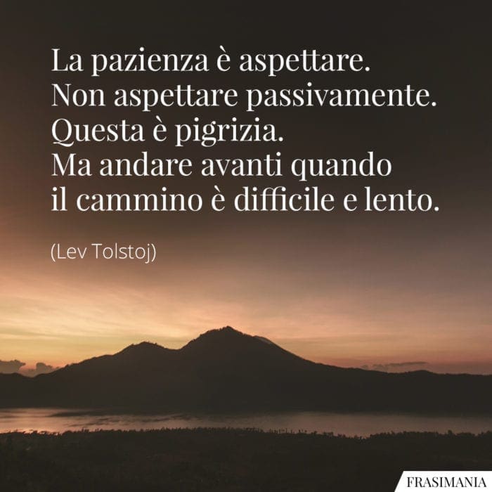 La pazienza è aspettare. Non aspettare passivamente. Questa è pigrizia. Ma andare avanti quando il cammino è difficile e lento.