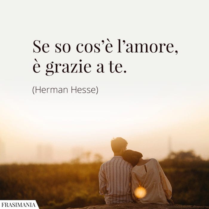 Se so cos'è l'amore, è grazie a te.