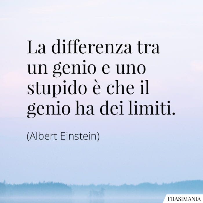 La differenza tra un genio e uno stupido è che il genio ha dei limiti.