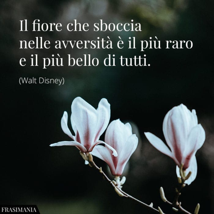 Frasi sui Fiori: le 50 più belle (in inglese e italiano)