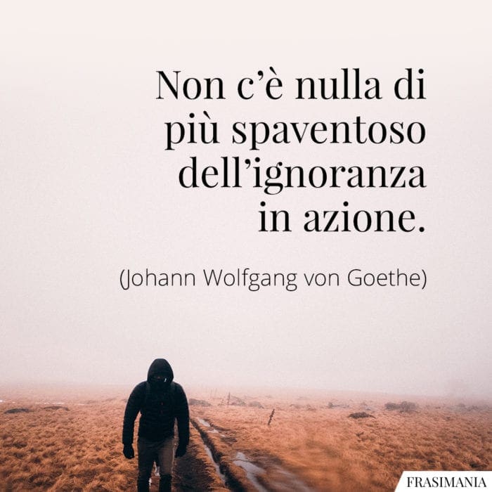 frasi-ignoranza-azione-goethe