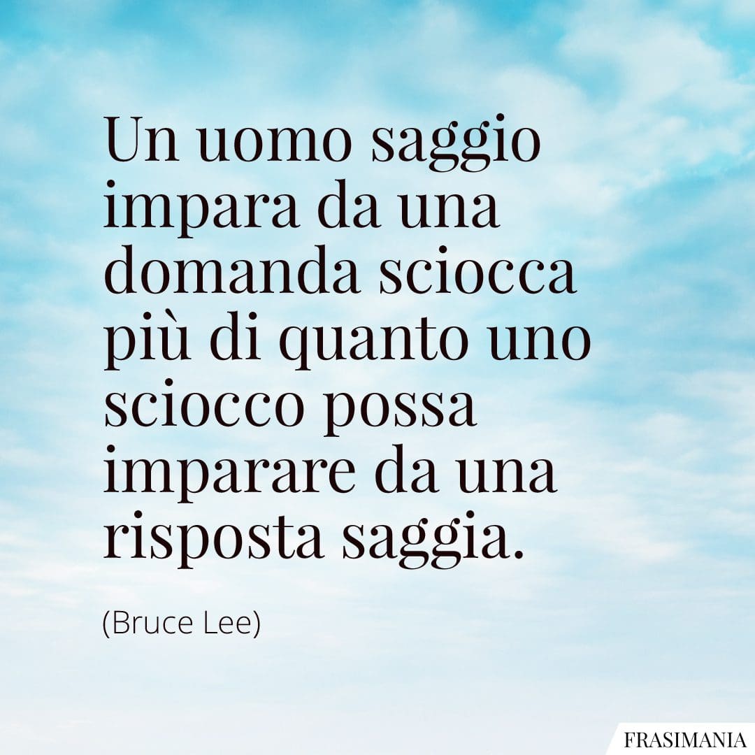 Un uomo saggio impara da una domanda sciocca più di quanto uno sciocco possa imparare da una risposta saggia.