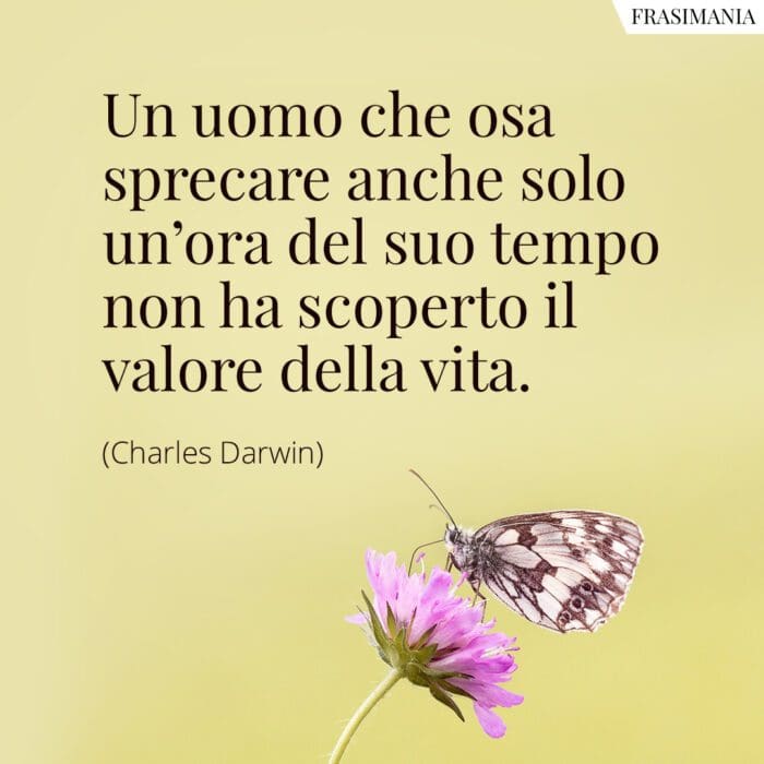 Un uomo che osa sprecare anche solo un'ora del suo tempo non ha scoperto il valore della vita.