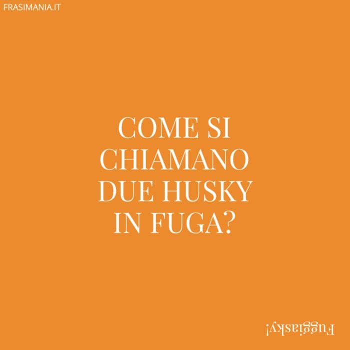 Come si chiamano due husky in fuga?