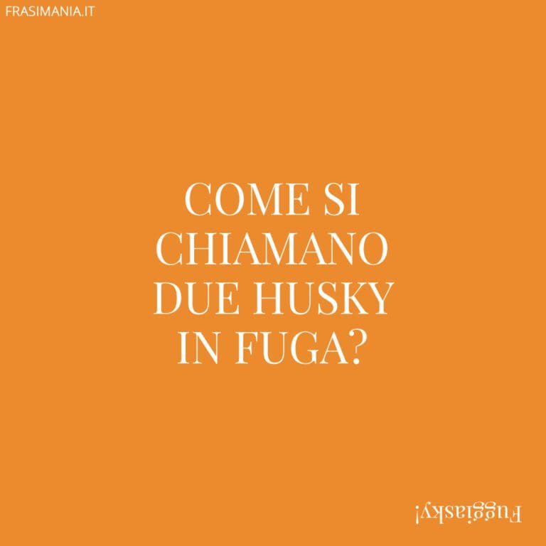 Come Si Chiama Il Figlio Di Alibaba
