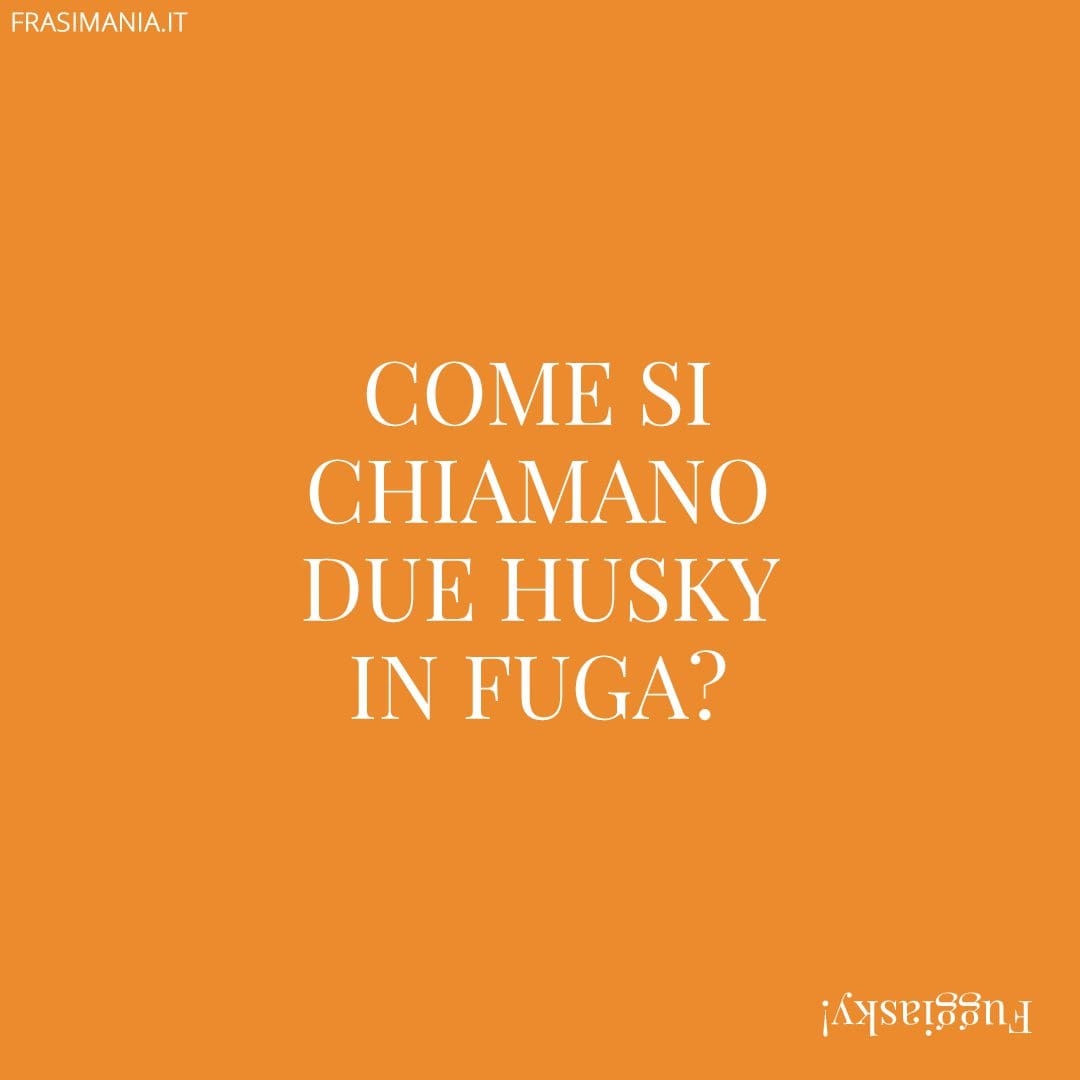 Come si chiamano due husky in fuga?
