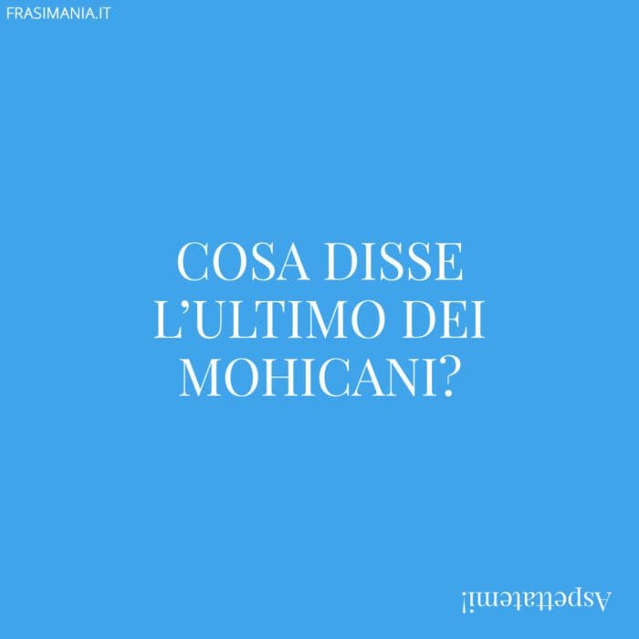 Cosa disse l'ultimo dei mohicani?