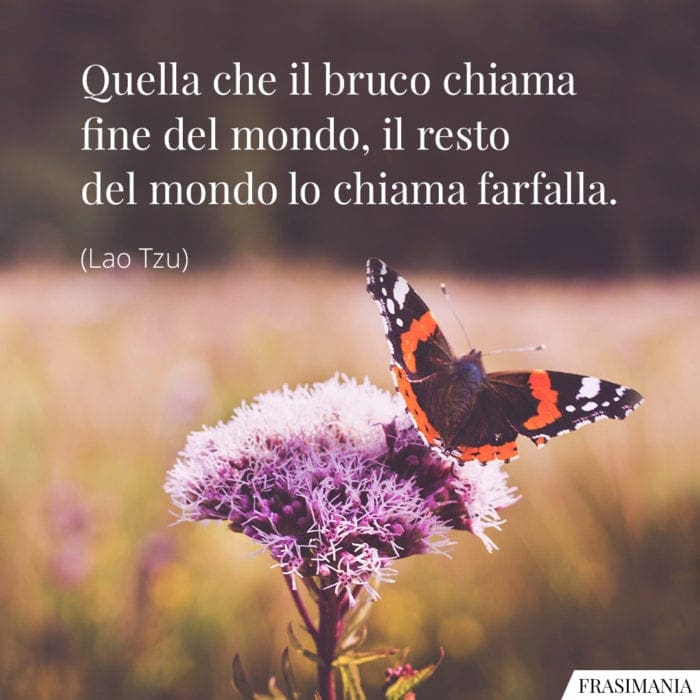 Frasi bruco farfalla Lao Tzu