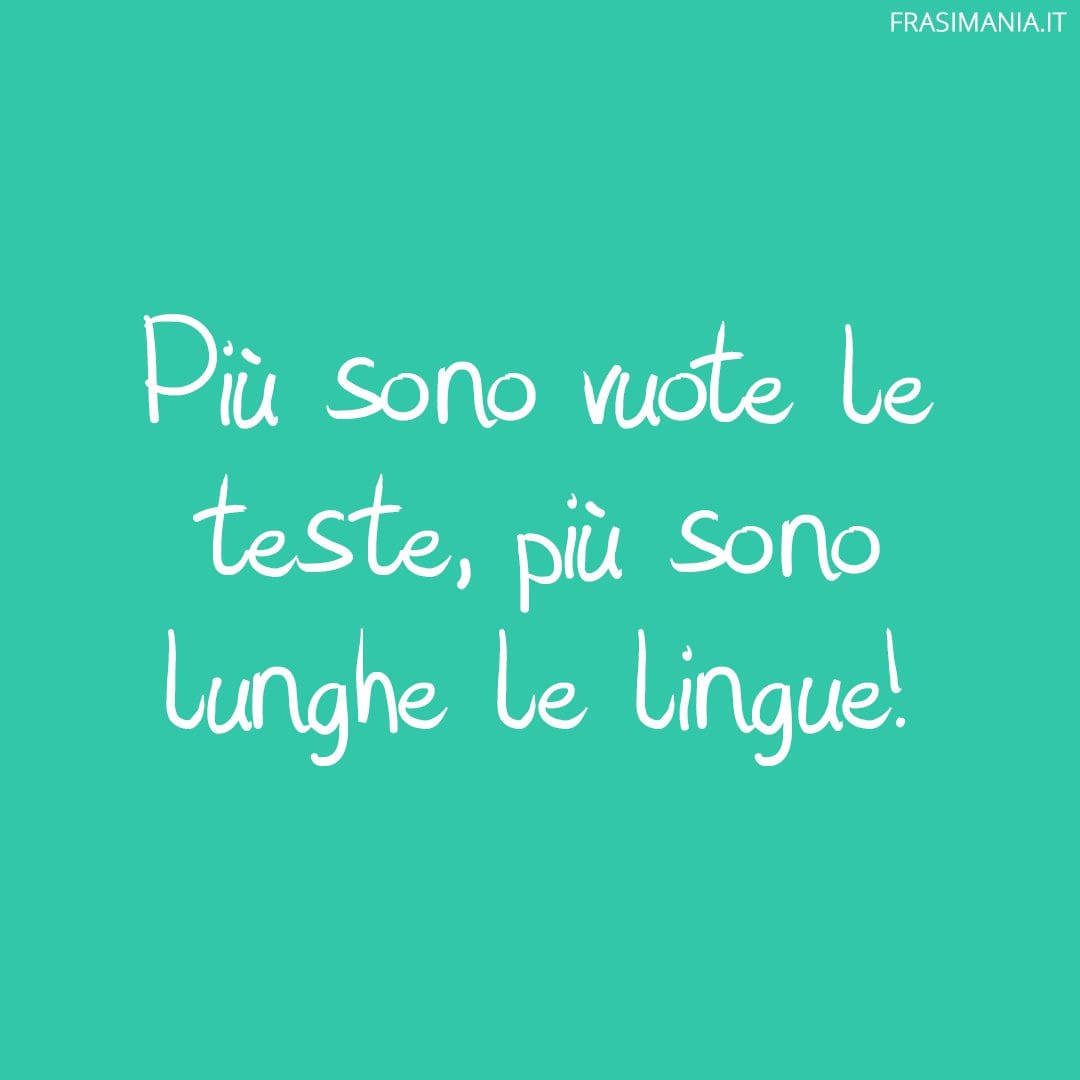 Più sono vuote le teste, più sono lunghe le lingue!