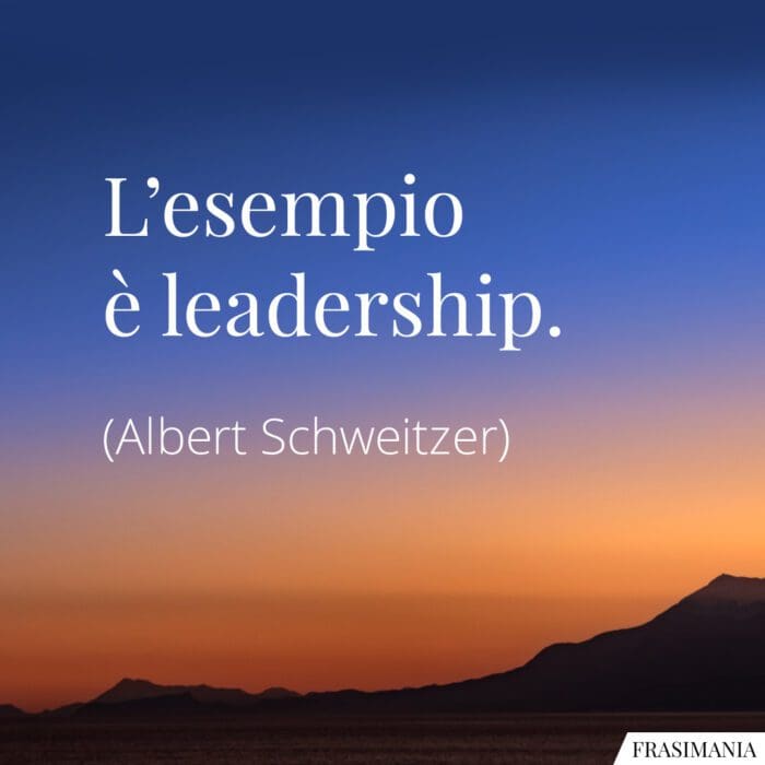 Frasi esempio leadership Schweitzer