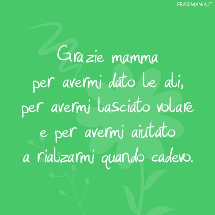 Grazie mamma per avermi dato le ali, per avermi lasciato volare e per avermi aiutato a rialzarmi quando cadevo.