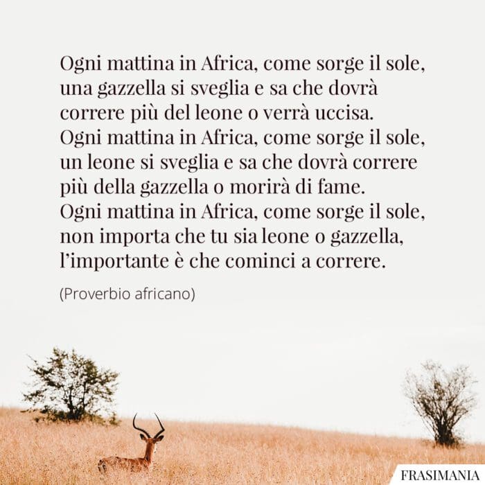 Frasi leone gazzella Africa