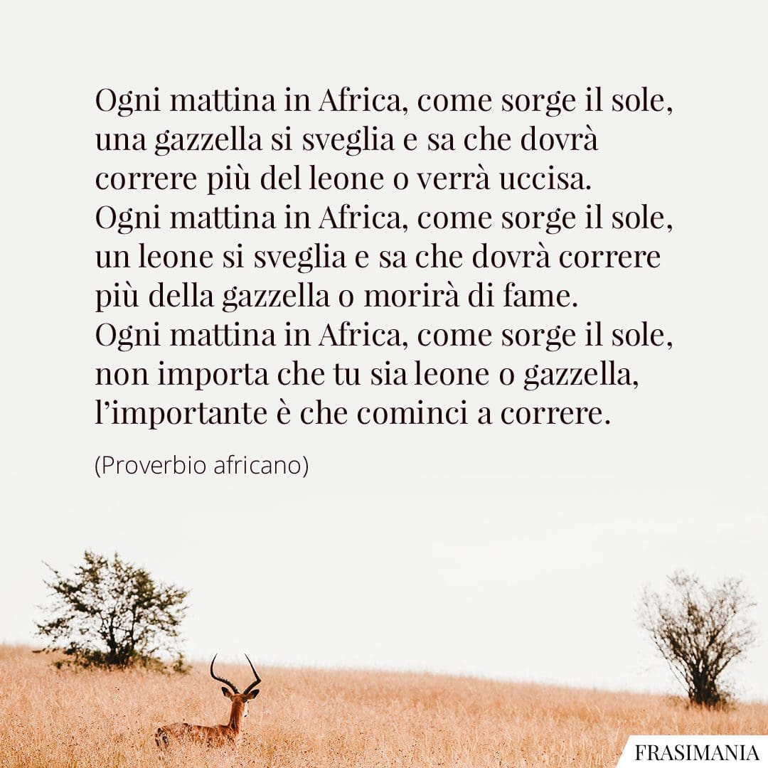 Ogni mattina in Africa, come sorge il sole, una gazzella si sveglia e sa che dovrà correre più del leone o verrà uccisa. Ogni mattina in Africa, come sorge il sole, un leone si sveglia e sa che dovrà correre più della gazzella o morirà di fame. Ogni mattina in Africa, come sorge il sole, non importa che tu sia leone o gazzella, l'importante è che cominci a correre.