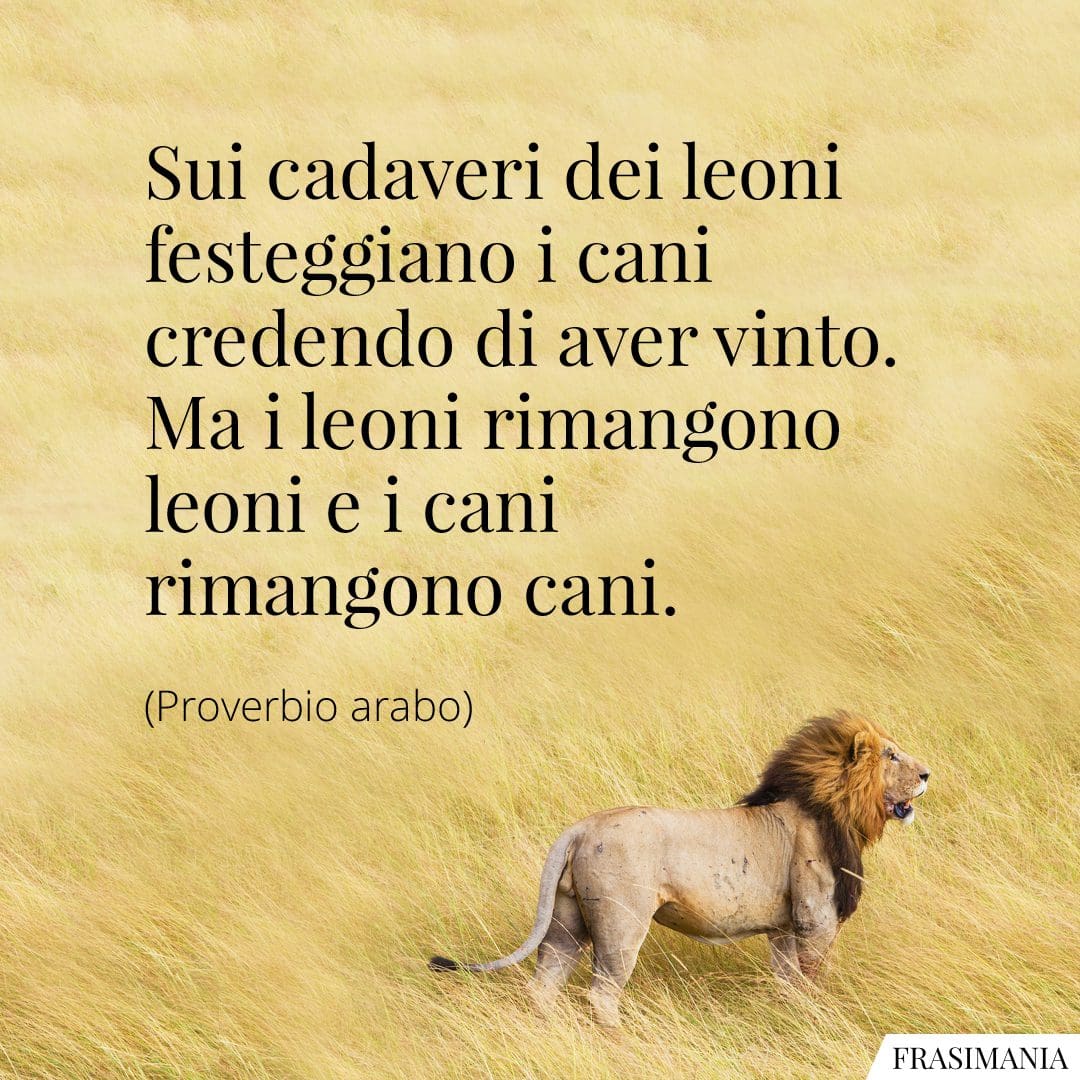Sui cadaveri dei leoni festeggiano i cani credendo di aver vinto. Ma i leoni rimangono leoni e i cani rimangono cani.