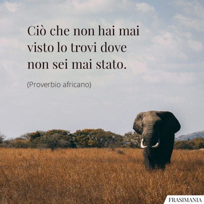 frasi-visto-stato