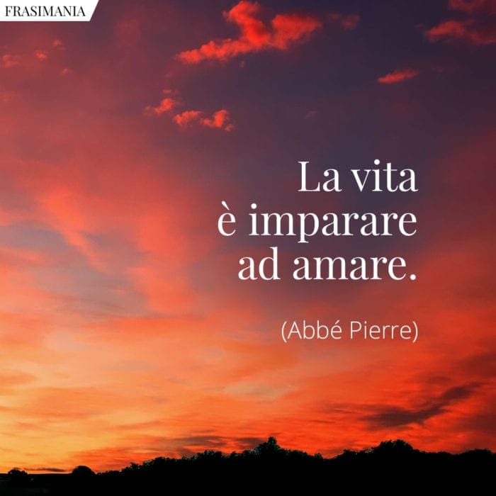 Frasi vita imparare amare