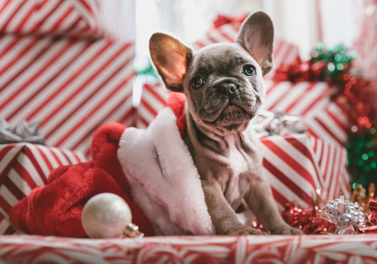 Auguri Di Buon Natale Ungherese.Frasi Per Dire Buon Natale In Tutte Le Lingue Del Mondo