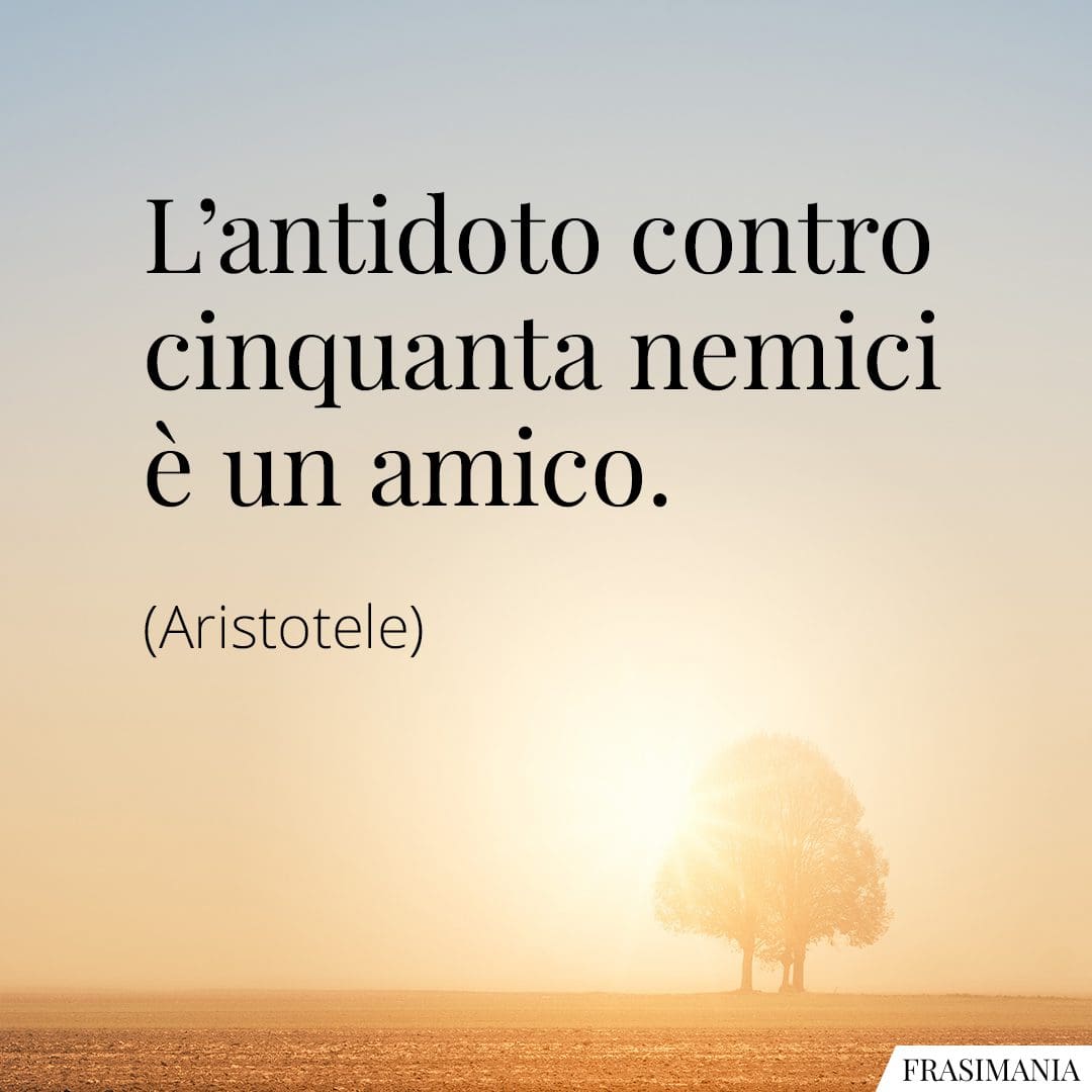 L'antidoto contro cinquanta nemici è un amico.