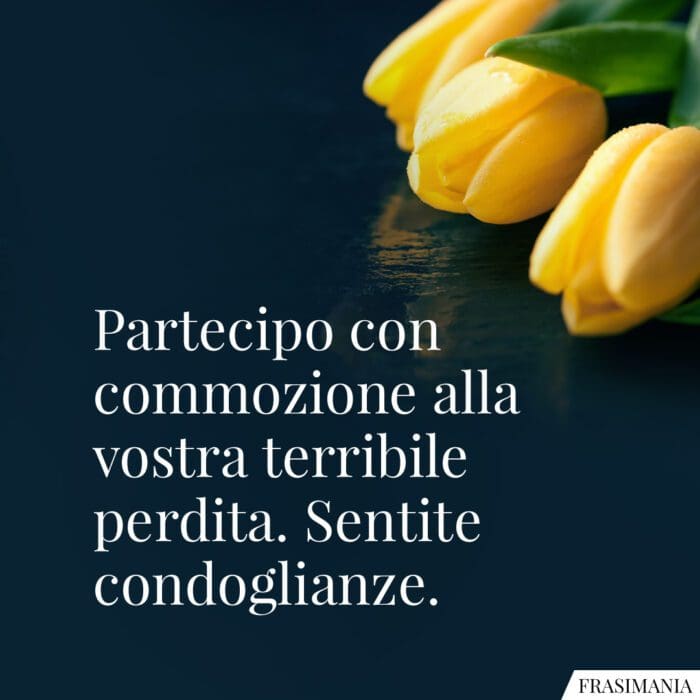 Partecipo con commozione alla vostra terribile perdita. Sentite condoglianze.