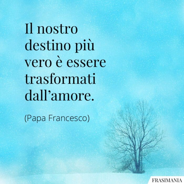 Frasi destino amore Papa Francesco