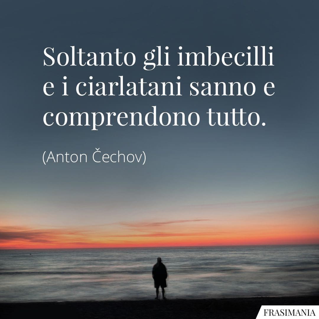 Soltanto gli imbecilli e i ciarlatani sanno e comprendono tutto.