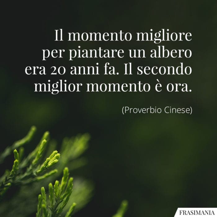 Frasi momento migliore piantare albero