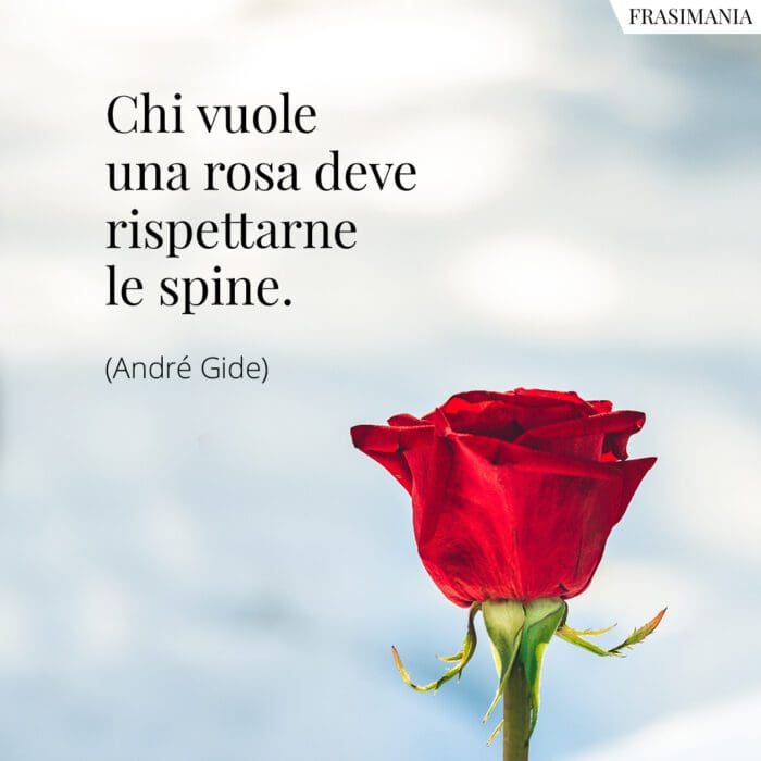 Frasi Sulle Rose Le 25 Piu Belle In Inglese E Italiano