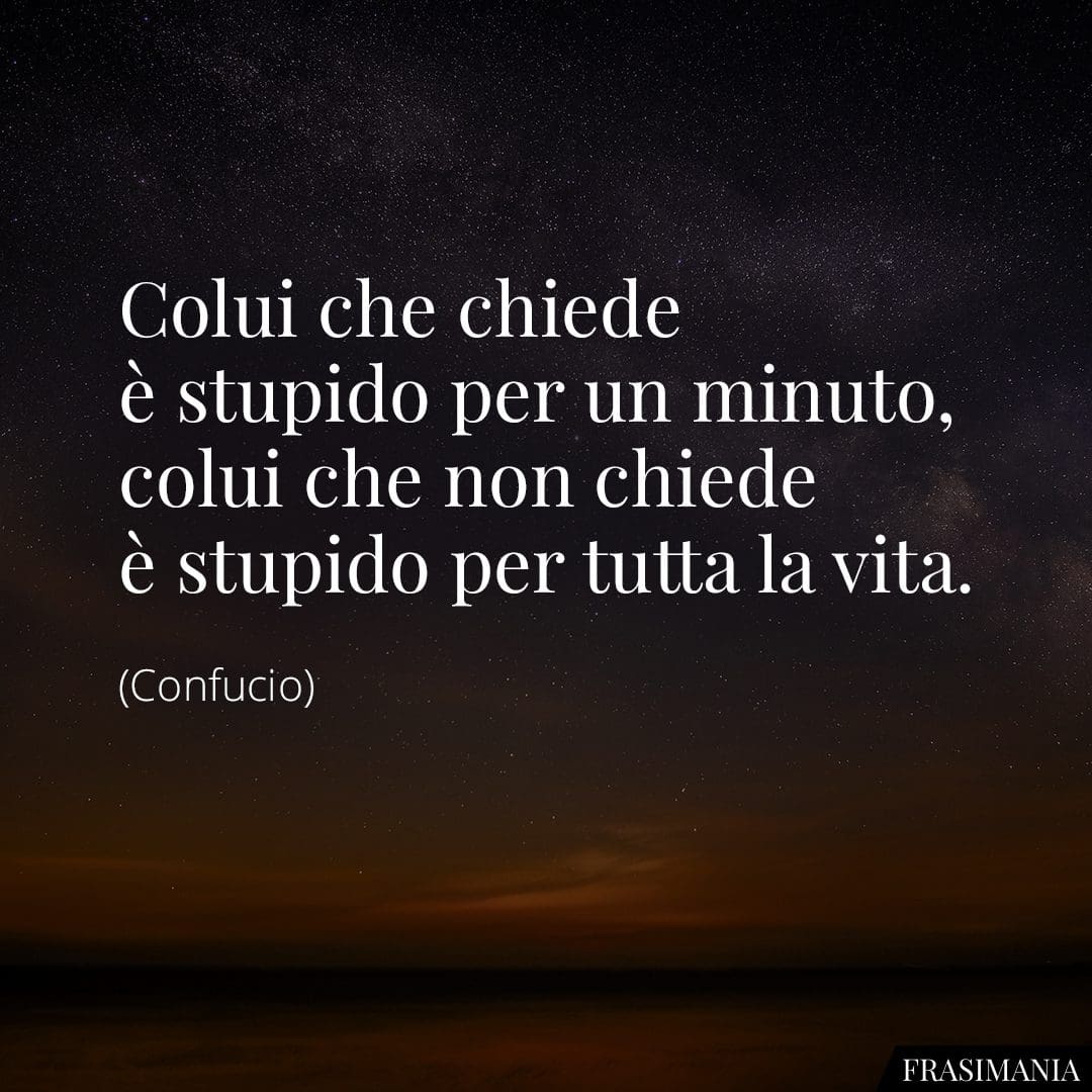 Colui che chiede è stupido per un minuto, colui che non chiede è stupido per tutta la vita.
