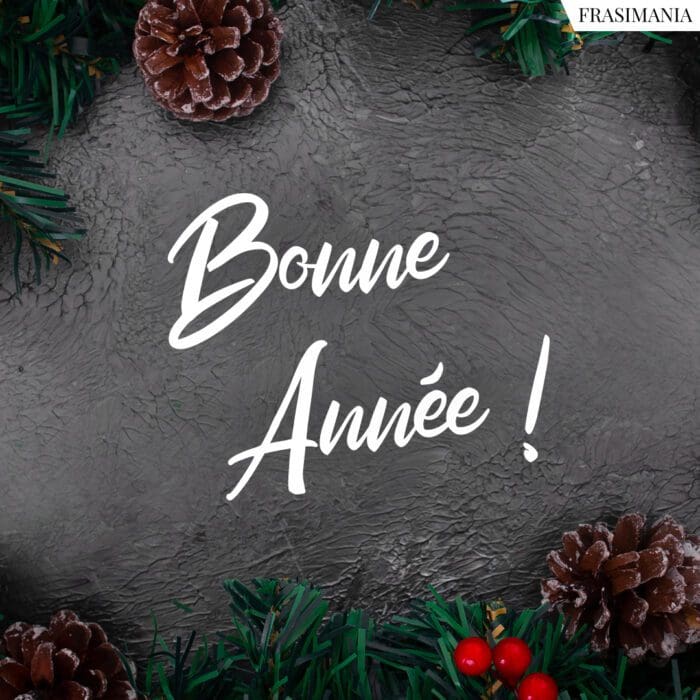 Bonne Année !