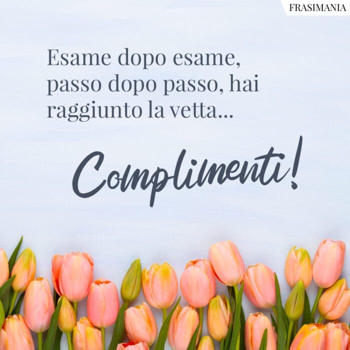 Esame dopo esame, passo dopo passo, hai raggiunto la vetta... Complimenti!