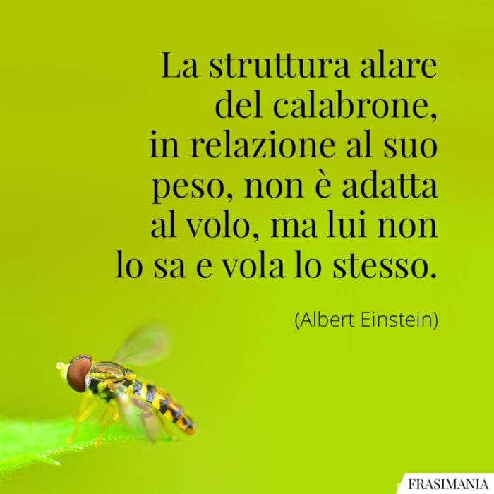 La struttura alare del calabrone, in relazione al suo peso, non è adatta al volo, ma lui non lo sa e vola lo stesso.