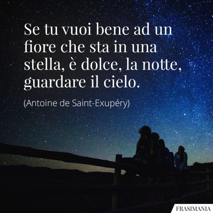 Frasi fiore stella dolce notte