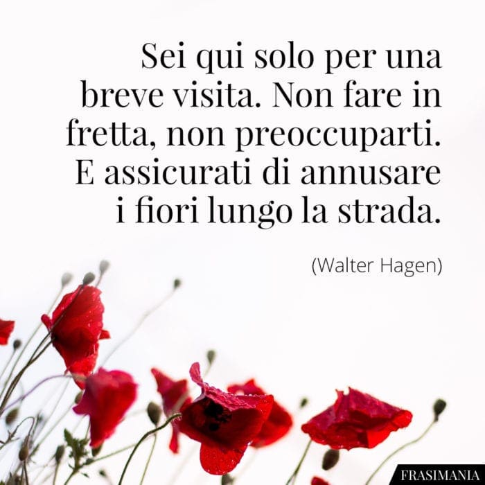 Frasi visita fiori strada Hagen