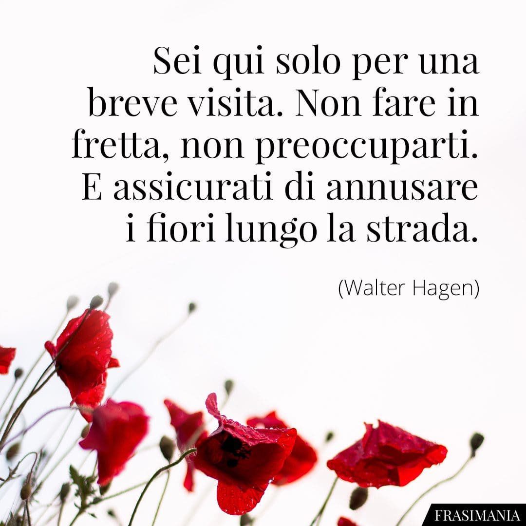 Sei qui solo per una breve visita. Non fare in fretta, non preoccuparti. E assicurati di annusare i fiori lungo la strada.