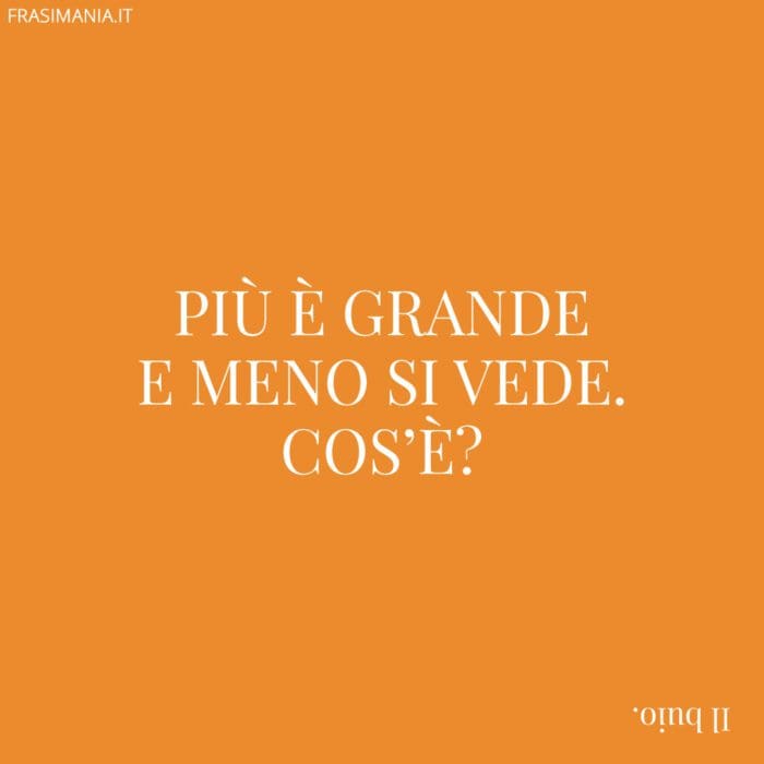 Più è grande e meno si vede. Cos’è?