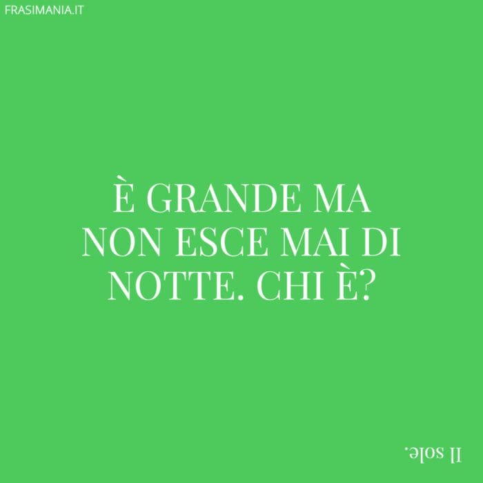 È grande ma non esce mai di notte. Chi è?
